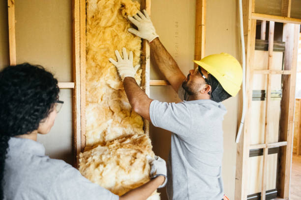 Best Home Insulation Services  in Upland, IN