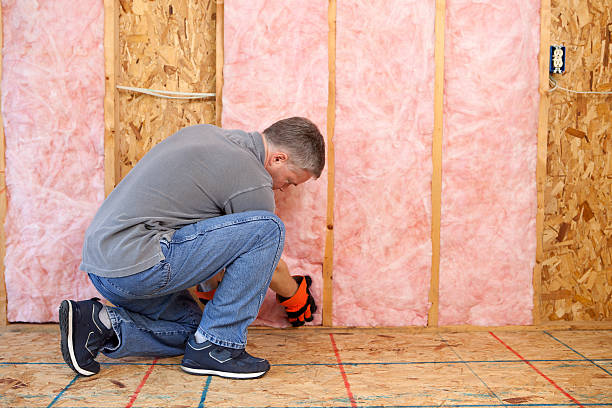 Best Attic Insulation Installation  in Upland, IN
